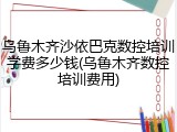 乌鲁木齐沙依巴克数控培训学费多少钱(乌鲁木齐数控培训费用)