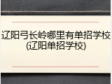 辽阳弓长岭哪里有单招学校(辽阳单招学校)