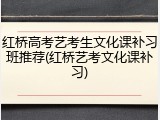 红桥高考艺考生文化课补习班推荐(红桥艺考文化课补习)