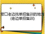 营口老边找单招集训的地方(老边单招集训)