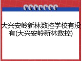大兴安岭新林数控学校有没有(大兴安岭新林数控)
