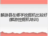 麟游县在哪学挖掘机比较好(麟游挖掘机培训)