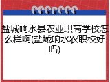 盐城响水县农业职高学校怎么样啊(盐城响水农职校好吗)