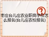 枣庄台儿庄农业职高学校怎么报名(台儿庄农校报名)