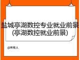 盐城亭湖数控专业就业前景(亭湖数控就业前景)