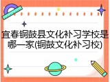 宜春铜鼓县文化补习学校是哪一家(铜鼓文化补习校)