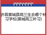 许昌襄城县高三生去哪个补习学校(襄城高三补习)