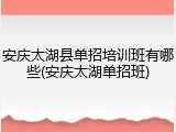 安庆太湖县单招培训班有哪些(安庆太湖单招班)