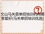 文山马关县单招培训机构哪家最好(马关单招培训优选)