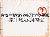 宜春丰城文化补习学校是哪一家(丰城文化补习校)