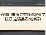 双鸭山宝清县有哪些农业学校好(宝清县农校推荐)