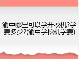 渝中哪里可以学开挖机?学费多少?(渝中学挖机学费)