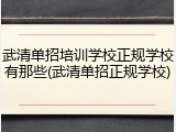 武清单招培训学校正规学校有那些(武清单招正规学校)