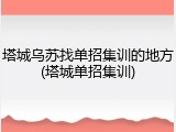 塔城乌苏找单招集训的地方(塔城单招集训)