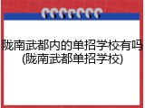 陇南武都内的单招学校有吗(陇南武都单招学校)