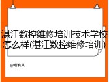 湛江数控维修培训技术学校怎么样(湛江数控维修培训)