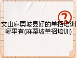 文山麻栗坡县好的单招培训哪里有(麻栗坡单招培训)