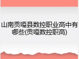 山南贡嘎县数控职业高中有哪些(贡嘎数控职高)