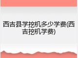 西吉县学挖机多少学费(西吉挖机学费)