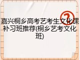 嘉兴桐乡高考艺考生文化课补习班推荐(桐乡艺考文化班)