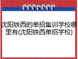 沈阳铁西的单招集训学校哪里有(沈阳铁西单招学校)