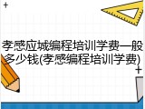 孝感应城编程培训学费一般多少钱(孝感编程培训学费)