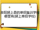 阜阳颍上县的单招集训学校哪里有(颍上单招学校)