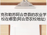 克孜勒苏阿合奇县的农业学校在哪里(阿合奇农校地址)