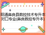 昭通彝良县数控技术专升本对口专业(彝良数控专升本)