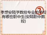 孝感安陆学数控专业的学校有哪些职中生(安陆职中数控)