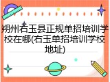 朔州右玉县正规单招培训学校在哪(右玉单招培训学校地址)
