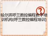 哈尔滨呼兰数控编程教学培训机构(呼兰数控编程培训)