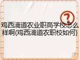 鸡西滴道农业职高学校怎么样啊(鸡西滴道农职校如何)