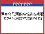 伊春乌马河数控培训在哪报名(乌马河数控培训报名)