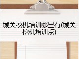 城关挖机培训哪里有(城关挖机培训点)