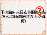玉树曲麻莱县农业职高学校怎么样啊(曲麻莱农职校如何)