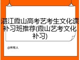 湛江霞山高考艺考生文化课补习班推荐(霞山艺考文化补习)