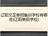 辽阳文圣单招集训学校有哪些(辽阳单招学校)