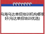 乌海乌达单招培训机构哪家好(乌达单招培训优选)
