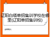 辽阳白塔单招集训学校在哪里(辽阳单招集训校)
