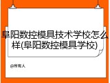 阜阳数控模具技术学校怎么样(阜阳数控模具学校)