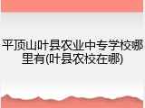 平顶山叶县农业中专学校哪里有(叶县农校在哪)