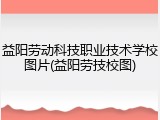 益阳劳动科技职业技术学校图片(益阳劳技校图)