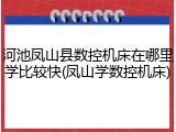 河池凤山县数控机床在哪里学比较快(凤山学数控机床)
