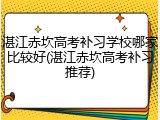 湛江赤坎高考补习学校哪家比较好(湛江赤坎高考补习推荐)