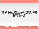 清新县在哪里学挖机好(清新学挖机)
