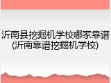沂南县挖掘机学校哪家靠谱(沂南靠谱挖掘机学校)