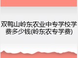 双鸭山岭东农业中专学校学费多少钱(岭东农专学费)