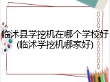 临沭县学挖机在哪个学校好(临沭学挖机哪家好)