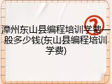 漳州东山县编程培训学费一般多少钱(东山县编程培训学费)
